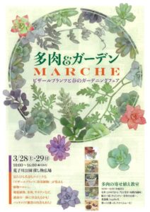 20260328荒子川　多肉ガーデンマルシェのサムネイル